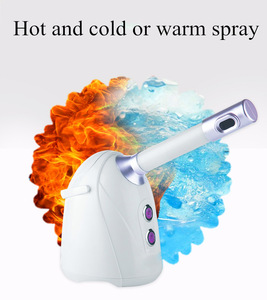 Home Use Hot Cold Ionic Nano Face Steamer Spa Sauna Machine Professional Steamer Facial