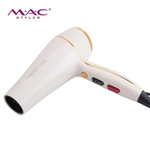 New Design Powerful Low Noise Hair Dryer Barber Hooded Factory Price OEM Blower Dryer