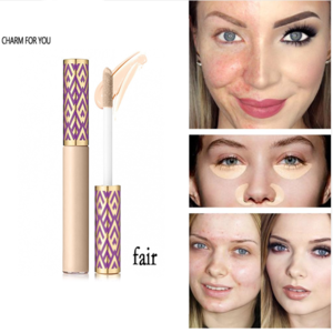 OEM Private Label Liquid Concealer Remove Acne Cosmetics Face Base Foundation Makeup Liquid Corrector Contour 10ml