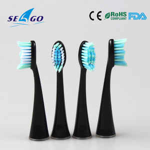 Toothbrush Head with High Quality Dupont Bristle for Electric Toothbrush