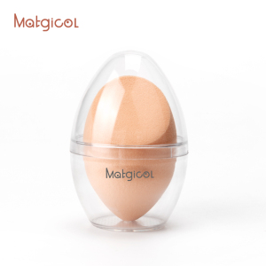 Top 5  wholesale private label  beauty cosmetics blender  makeup sponge  with  package of eggshell