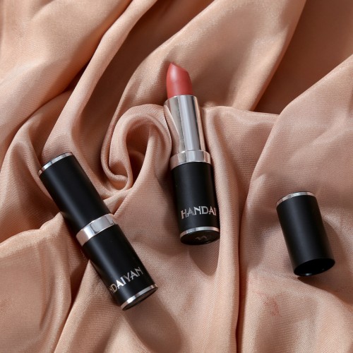 HANDAIYAN 12 Colors Natural Lipstick Private Label Makeup Matte 24 Hour Long Lasting Lipstick