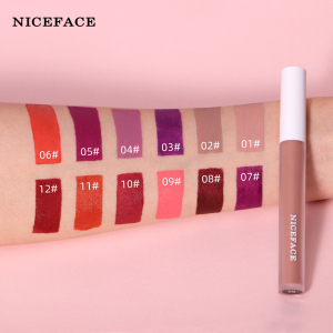 12 Colors Makeup Matte Lip Gloss Women Lips Maquiagem Make up Cosmetics Mate Batom Lip Stick Lipgloss