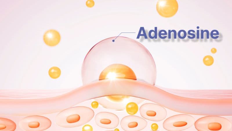 Collagen Moisture Cream 