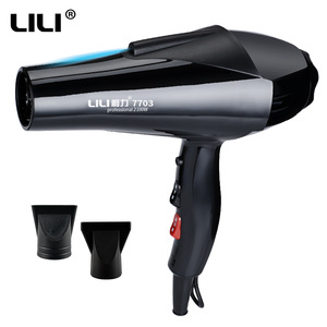 Concentrator Nozzle Professional AC Motor Hair Dryer Salon Hair Dryer