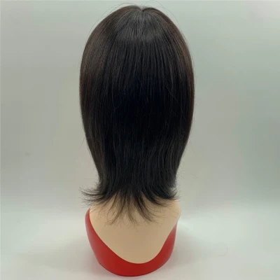 Factory Price Cheap Short Brazilian Human Hair 10inch Woman Wig