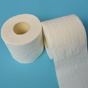 Factory Virgin material soft tissue toilet paper roll