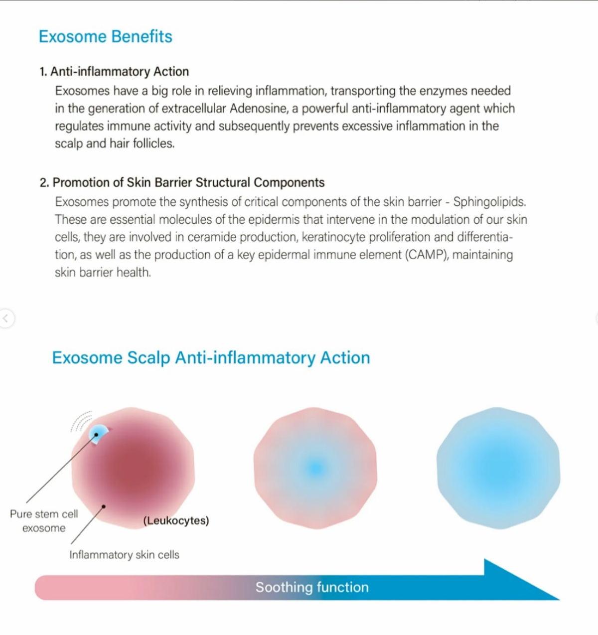 HAIRNA Exosome  Hair Fill
