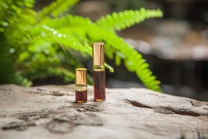 HOT PERFUME - Agarrwood Essential Oil from Aquillaria Crassna Piere Trees