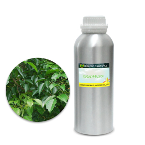 Manufacturer CBD Eucalyptus Aromatic Essential Oil in bulk