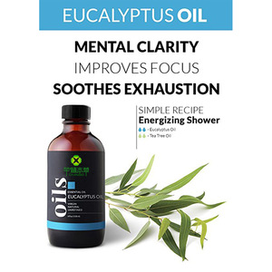 Wholesale Low price premium quality eucalyptus essential oil