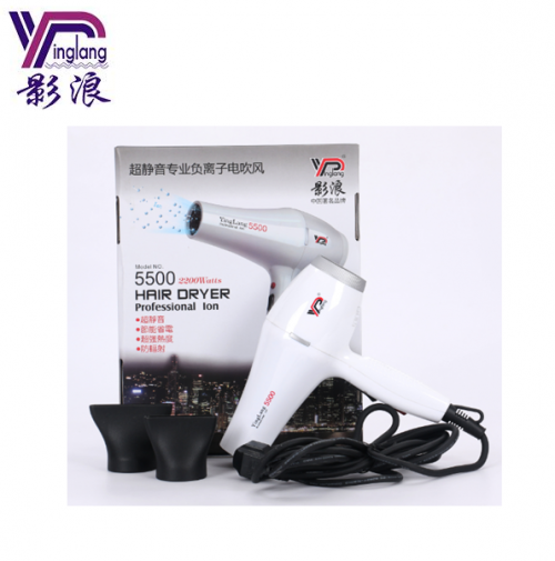 Energy Saving Intelligent ABS Plastic Professional Hair Blower Dryer 5500