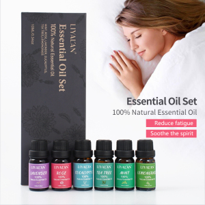 100% Pure Natural Essential Oil Gift Set Lavender Rose Eucaluptus Tea Tree Aroma Essential Oil