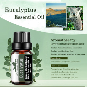 10ML Eucalyptus Essential Oil OEM Private Label Diffuse Aromatherapy 100% Natural Tea Tree Spa Essential Oils Humidifier Use