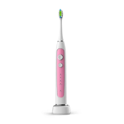 2018 New Hot Sale Amazon Colorful Battery Powered Electric Toothbrush with Ce and RoHS for Kids and Adult