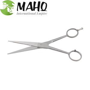 Economy Best Hair Scissors