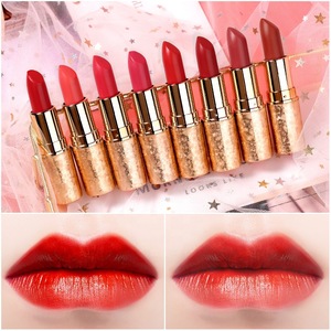 fancynee Wholesaler  Natural Enhancer color  Waterproof Outlast  lipstick