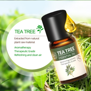 OEM Prviate Label 100% Pure Essential Oil Skin Care Anti Acne Tea Tree Essential Oil 10ml Bulk Aromatherapy Oil