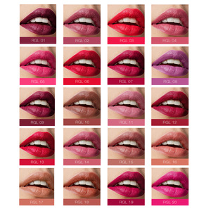 O.TWO.O Cosmetics Makeup Kit Kiss Proof Lipstick Waterproof Matte Lipstick