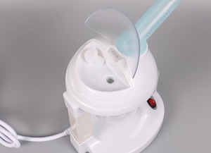 TODOM DT-66 wholesale hair salon using desk top Ionic ozone hair facial steamer