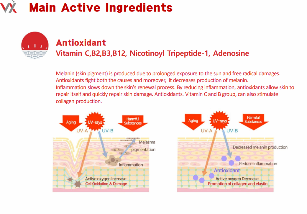 VELATOX Premium Skin Booster with 11 Cell Growth Factors