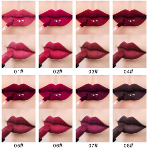 Wholesale Easy To Color Waterproof Long Lasting 2 In 1 Matte Lipgloss Lipstick