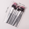 OEM/ODM Factory Price 11pcs Professional Cosmetic Makeup Brush Set Silver Handle Black Pink Gradient Bristles Beauty Tools