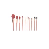 12pcs makeup brushes for beauty tools