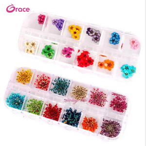 12 Colors 3D Nail Art Decoration Real Dry Dried Flower For UV Gel Acrylic Nail Art