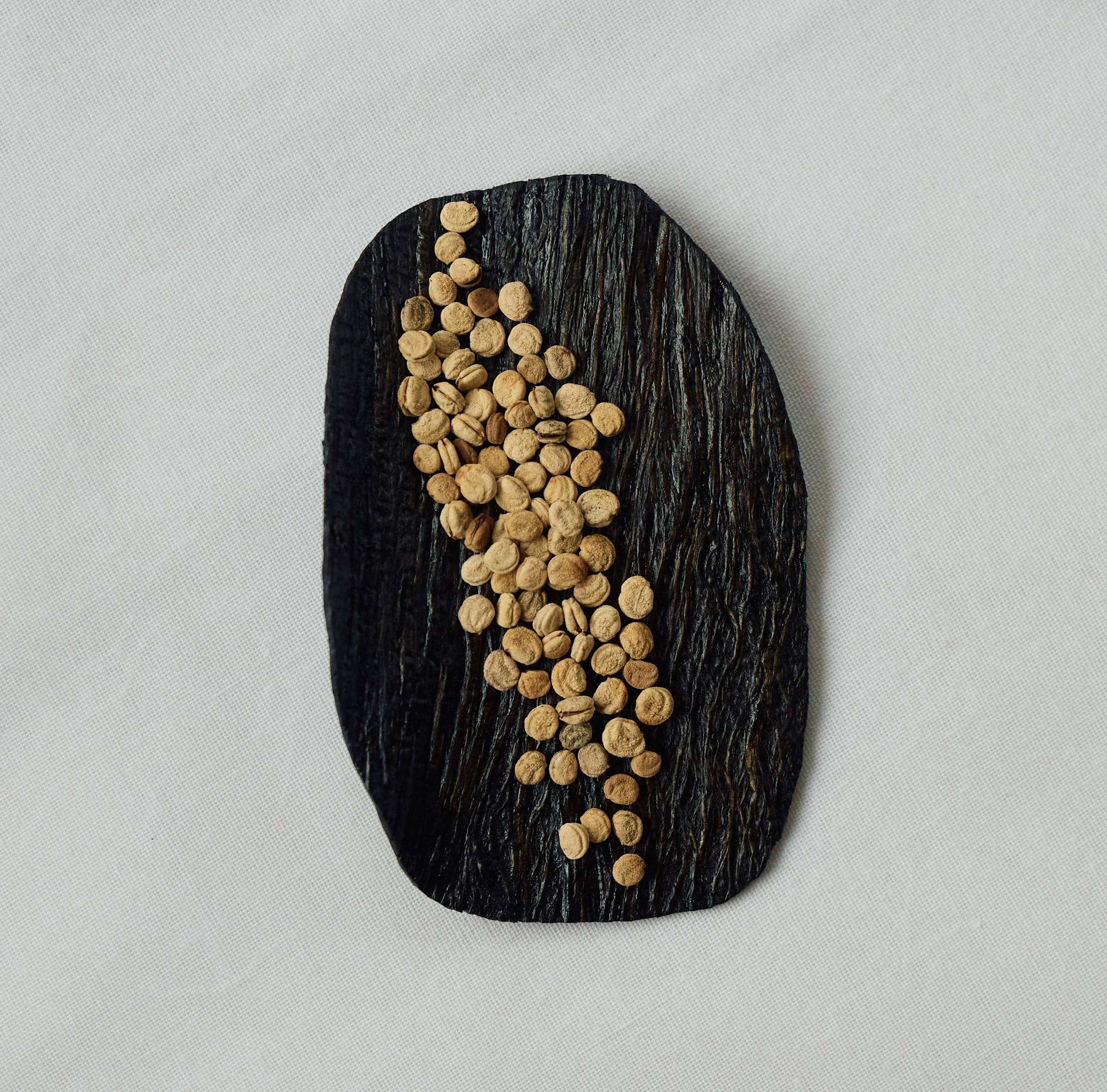 bfou Ginseng Seed &amp; PDRN Milk Mist - Premium Korean Facial Mist Skin Care