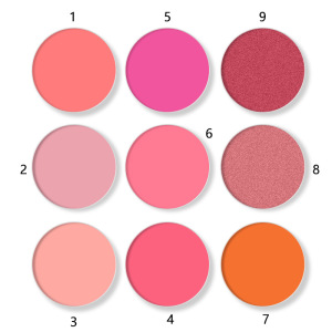 Cosmetic Pressed Powder Blusher Makeup blushing No Logo Blush DIY High Pigment Organic Private Label Blush Palette