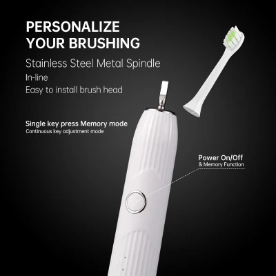 Dental Clinic Portable Sonic Electric Toothbrush Whitening Toothbrush for Adult