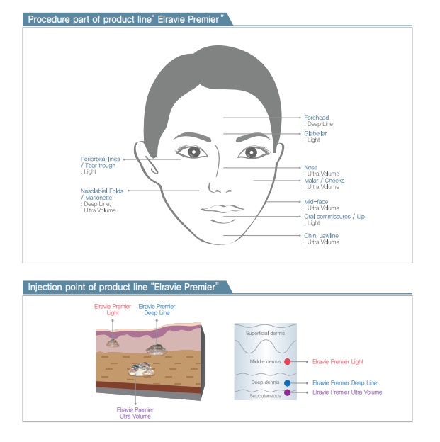 Elravie Premier Filler Hyaluronic Acid Filler HA Filler Dermal Filler made in Korea 