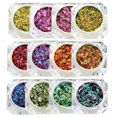 Newest Chameleon Flakes Set Multi Chrome Manicure Pigment Glitter Dust