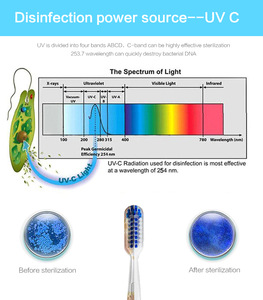 Popular  family use UV Toothbrush sterilizer sanitizer