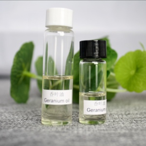 Y1053 Natural and pure Geranium oil For Perfume Cosmetic Daily Fragrance And Flavor