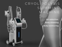 cryolipolysis weight loss body slimming machine
