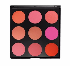 2019 new arrive ISO 22716 FDA mineral best makeup blush