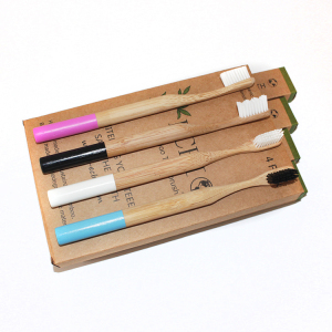 Eco friendly bamboo toothbrush bamboo products free sample