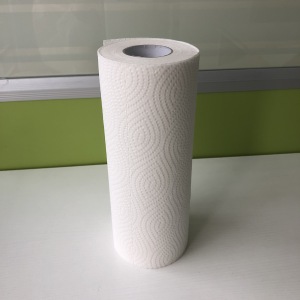 Good Sanitary embossed kitchen Towel Paper