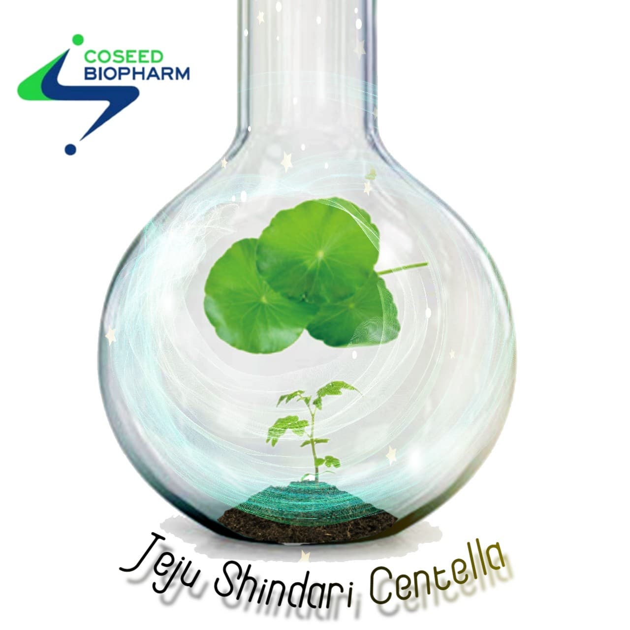 Jeju Shindari Centella Skin Regeneration