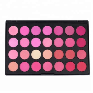 Professional cosmetic pressed 10 color makeup blusher kit waterproof blush