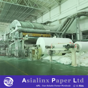 Virgin Wood Pulp Tissue Reels Raw Material for Making Tissue Papers