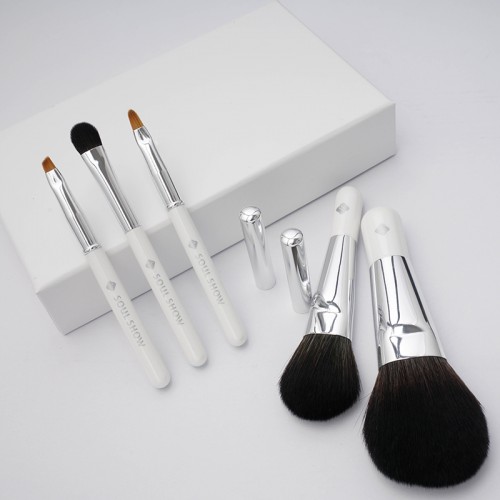High Quality Custom Travel-Size 5pcs Makeup Brush Set