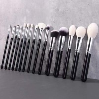 OEM Professional 15Pcs Makeup Brush Set