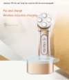 Sainbeauty Portable anti winkle face massage beauty instrument  / EMS RF multi function Rejuvenation beauty instrument