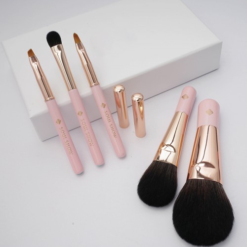 High Quality Custom Travel-Size 5pcs Makeup Brush Set