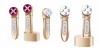 Sainbeauty Portable anti winkle face massage beauty instrument  / EMS RF multi function Rejuvenation beauty instrument