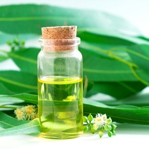 Eucalyptus Essential Oil (Eucalyptus globules)