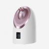 Factory price Beauty Personal care Face Steamer Sprayer Face Humidifier Facial Steamer for women